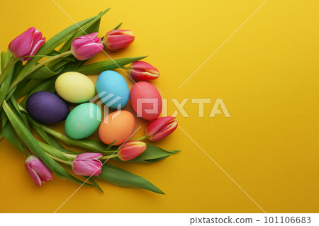 Fresh colorful tulip flowers and easter eggs on yellow background. Top view with copy space. Happy easter greeting card Fresh colorful tulip flowers and easter eggs on yellow background. Top view with copy space. Happy easter greeting card 101106683