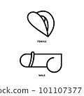 Male and Female genitalia in side view minimalist line. 101107377