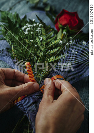 man arranging a red rose for Sant Jordi 101107416