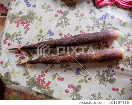 Freshly baked bamboo shoots 101107516