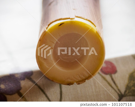 cut of bamboo shoots 101107518