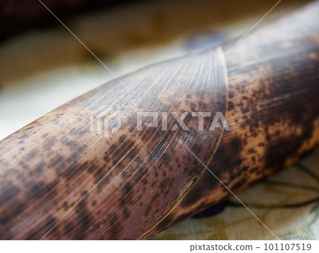 Bamboo shoot skin 101107519