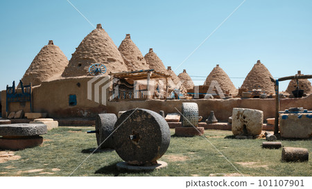 Beehive house village 101107901