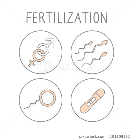 Fertilization icon set. Linear simple illustration pregnancy and childbirth. Motherhood signs. Vector 101109122