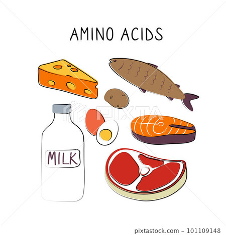 Amino acids-containing food. Groups of healthy products containing vitamins and minerals. Set of fruits, vegetables, meats, fish and dairy 101109148