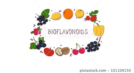 Bioflavonoid-containing food. Groups of healthy products containing vitamins and minerals. Set of fruits, vegetables, meats, fish and dairy 101109150