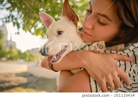 Dog Parson Russell Terrier breed is playing in green park with his owner. Summer time or beginning of autumn. Nature. Pet care and training concept. 101110434