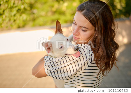 Dog Parson Russell Terrier breed is playing in green park with his owner. Summer time or beginning of autumn. Nature. Pet care and training concept. Dog Parson Russell Terrier breed is playing in green park with his owner. Summer time or beginning of autumn. Nature. Pet care and training concept. 101110483
