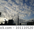 雲和東京天空樹 101110520