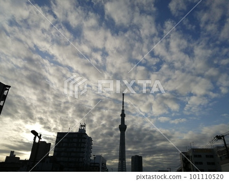 雲和東京天空樹 101110520