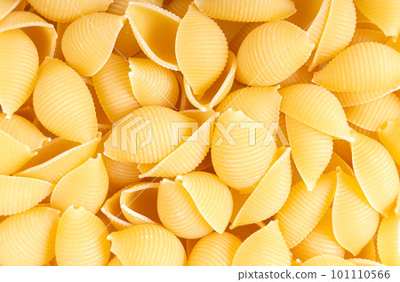 Raw pasta conchiglioni spaghetti pattern. Food background, italian cuisine Raw pasta conchiglioni spaghetti pattern. Food background, italian cuisine 101110566