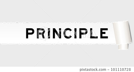 Ripped gray paper background that have word principle under torn part Ripped gray paper background that have word principle under torn part 101110728