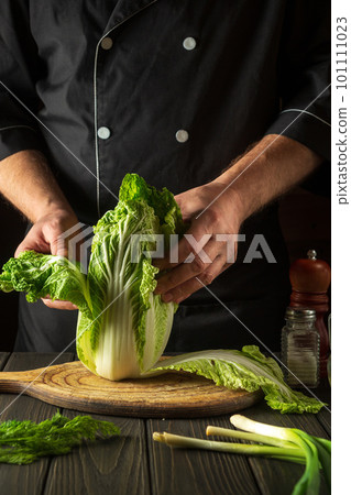 Napa cabbage salad preparation. Cook while working in the restaurant kitchen. Diet breakfast or dinner idea. 101111023