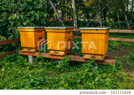 Hives in apiary on the roof of modern building in the downtown Hives in apiary on the roof of modern building in the downtown 101111026
