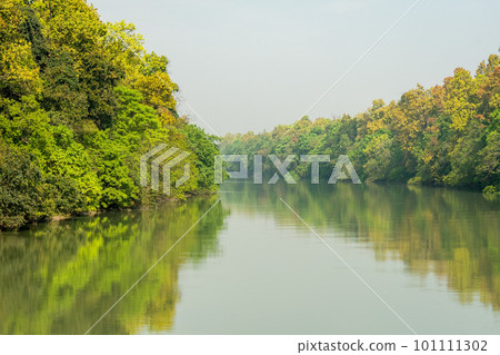picturesque and scenic view of dense sal forest reflection in sharda or sarda river at terai arc landscape in surai eco tourism zone in pilibhit tiger reserve national park bifurcation india asia picturesque and scenic view of dense sal forest reflection in sharda or sarda river at terai arc landscape in surai eco tourism zone in pilibhit tiger reserve national park bifurcation india asia 101111302