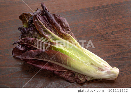 Red Romaine lettuce 101111322