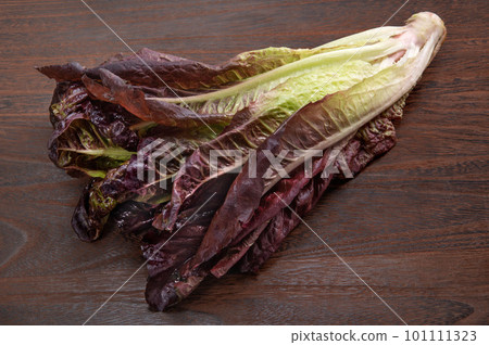 Red Romaine lettuce 101111323