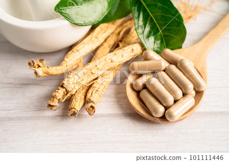 Ginseng, dried vegetable herb. Healthy food famous export food in Korea country. 101111446