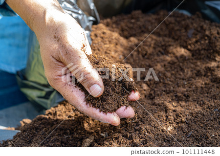 Hand holding peat moss organic matter improve soil for agriculture organic plant growing, ecology concept. Hand holding peat moss organic matter improve soil for agriculture organic plant growing, ecology concept. 101111448
