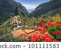 Mountain village in Masca valley in Tenerife, Canary Islands, Spain. Green steep gorge with hiking trail. Tourist attraction. 101111583