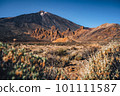 Volcanic landscape of the famous Pico del Teide mountain volcano in National Park of Tenerife, Canary Islands, Spain. 101111587