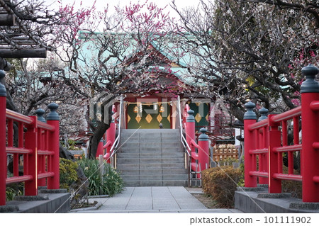 龜戶天神神社 101111902