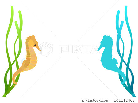 A seahorse with a tail wrapped around an eelgrass. Set of colorful illustrations and blue silhouettes. A seahorse with a tail wrapped around an eelgrass. Set of colorful illustrations and blue silhouettes. 101112463
