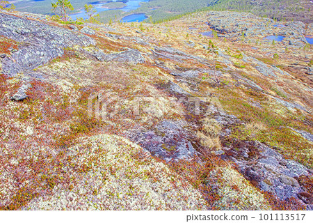 Mountain tundra in Lapland Mountain tundra in Lapland 101113517