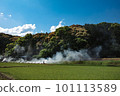 藍天和稻田鄉村景觀 101113589