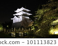 Oshijo night view 101113823