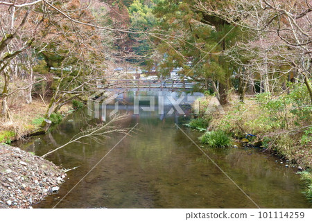 Yufuin floral village travel location in Oita Japan on morning 101114259