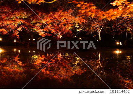 Autumn leaves reflected on the water 101114492