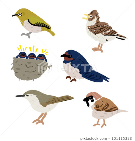 Simple and cute spring bird illustration set Simple and cute spring bird illustration set 101115358
