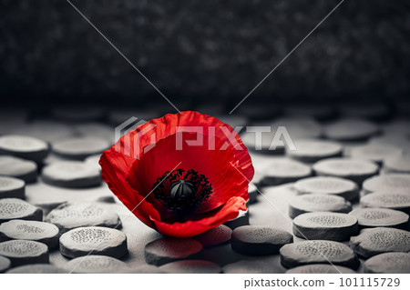Red poppy as a symbol of memory for the fallen in the war. VE-Day, World War remembrance day. Generative AI illustration 101115729
