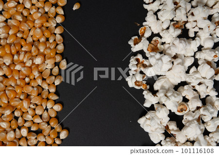 Corn and popcorn grains in two rows on a black background. 101116108