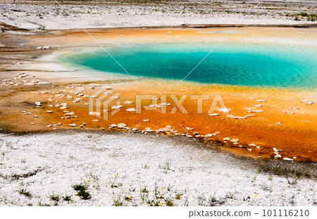Colorful hot spring in Yellowstone national park 101116210
