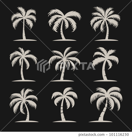 Vector Palm Trees, Palm Tree Icon Set Isolated. Palm Silhouettes. Design Template for Tropical, Vacation, Beach, Summer Concept. Vector Illustration. Front View 101116230