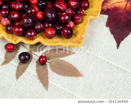 Dish of cranberries with autumn decorations 101116409