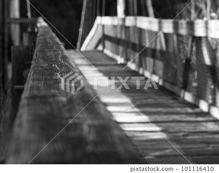 Wooden suspension bridge black and white 101116410