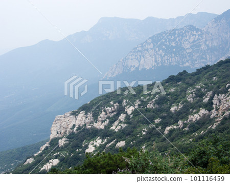 Mist over sacred taoist Songshan mountains in Henan province, China 101116459