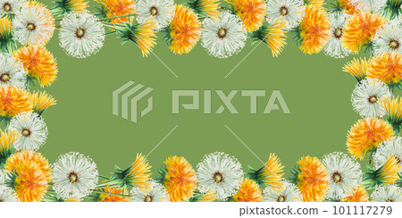 Watercolor frame of dandelions flowers and green leaves. Hand painting clipart botanical meadow illustration on a white isolated background. For designers, decoration, postcards, wrapping paper 101117279