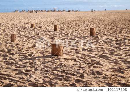 old wooden groynes pegs on the beach of Jandia, Fuerteventura, the Spanish Canary Islands, in the background you can see sunbeds for the vacationers 101117398