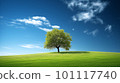 山上的一棵樹 101117740