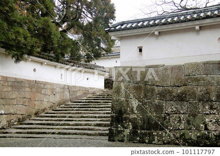 宮崎縣日南市帶肥城跡 宮崎縣日南市帶肥城跡 101117797