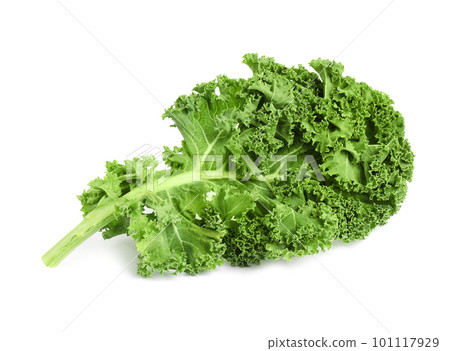 Fresh green kale leaf isolated on white 101117929