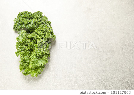 Fresh kale leaf on light grey table, top view. Space for text Fresh kale leaf on light grey table, top view. Space for text 101117963