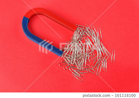 Magnet attracting paper clips on red background, flat lay 101118100