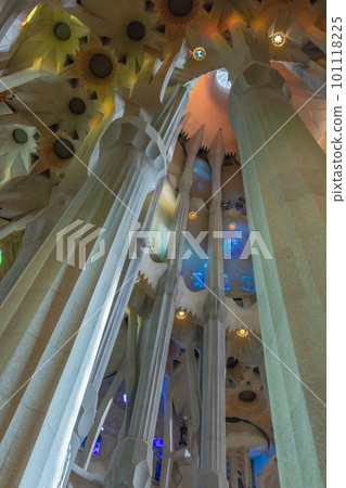 Inside Sagrada Familia ~Ceiling/Pillars~ (Spain-Barcelona) 101118225