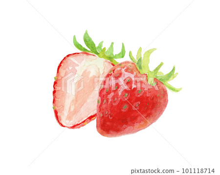 用水彩繪製的簡單草莓插圖 用水彩繪製的簡單草莓插圖 101118714