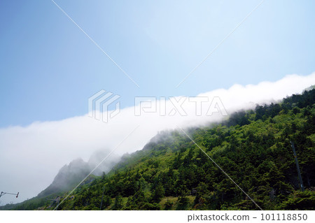 Cape Kitami Kamui wrapped in fog flowing into the Sea of Okhotsk in early summer, Hokkaido 101118850
